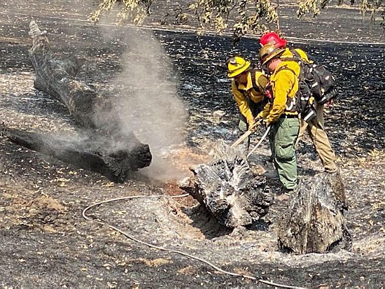 Three FD7 crew members work to extinguish embers on a downed tree on the LNU complex fire in California.