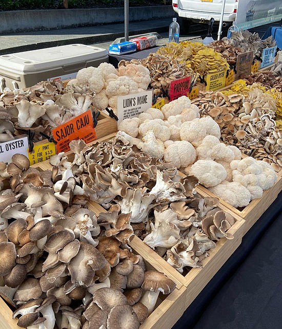 The Holiday Market will have a new mushroom farmer that is sure to attract some attention. Skagit Gourmet Mushrooms is currently specializing in Shiitake, oyster, and Lion’s Mane mushroom varieties and grow some of the highest quality, organic mushrooms in the Northwest.