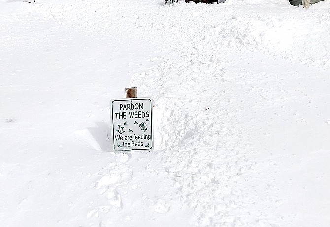 Beekeeper Jeff Garvin has this sign in his yard, which was up to its base in snow on March 3.