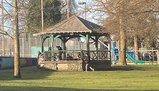 People with backpacks and one with a cart of clothing in a beige shopping cart hang around the Clark Park gazebo the afternoon of Friday, Feb. 2.