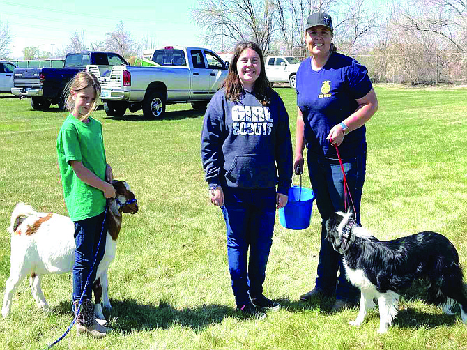 From left: Olivia Manski with her goat, Speckle, Girl Scout Lauryn Smith and Alexandria Manski with border collie, Rio, representing the Churchill County Future Farmers of America.