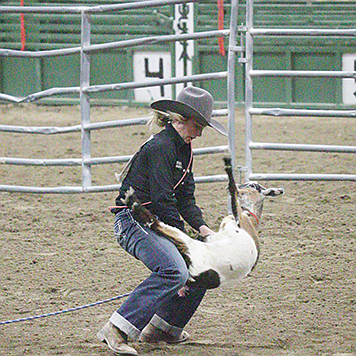 Shailee Robison turns and takes her goat to the ground in goat tying.