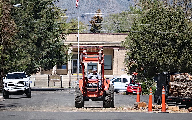 A tractor works on Tuesday morning on Esmeralda Avenue near Sixth Street in Minden as part of a tree trimming operation.