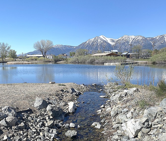 Jobs peeks through the foliage in the background of Seeman Pond in Minden. Photo special to The R-C by Robin Sarantos