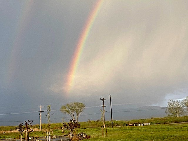 Reggie Mueller took this photo of a rainbow from Monday night's storm.