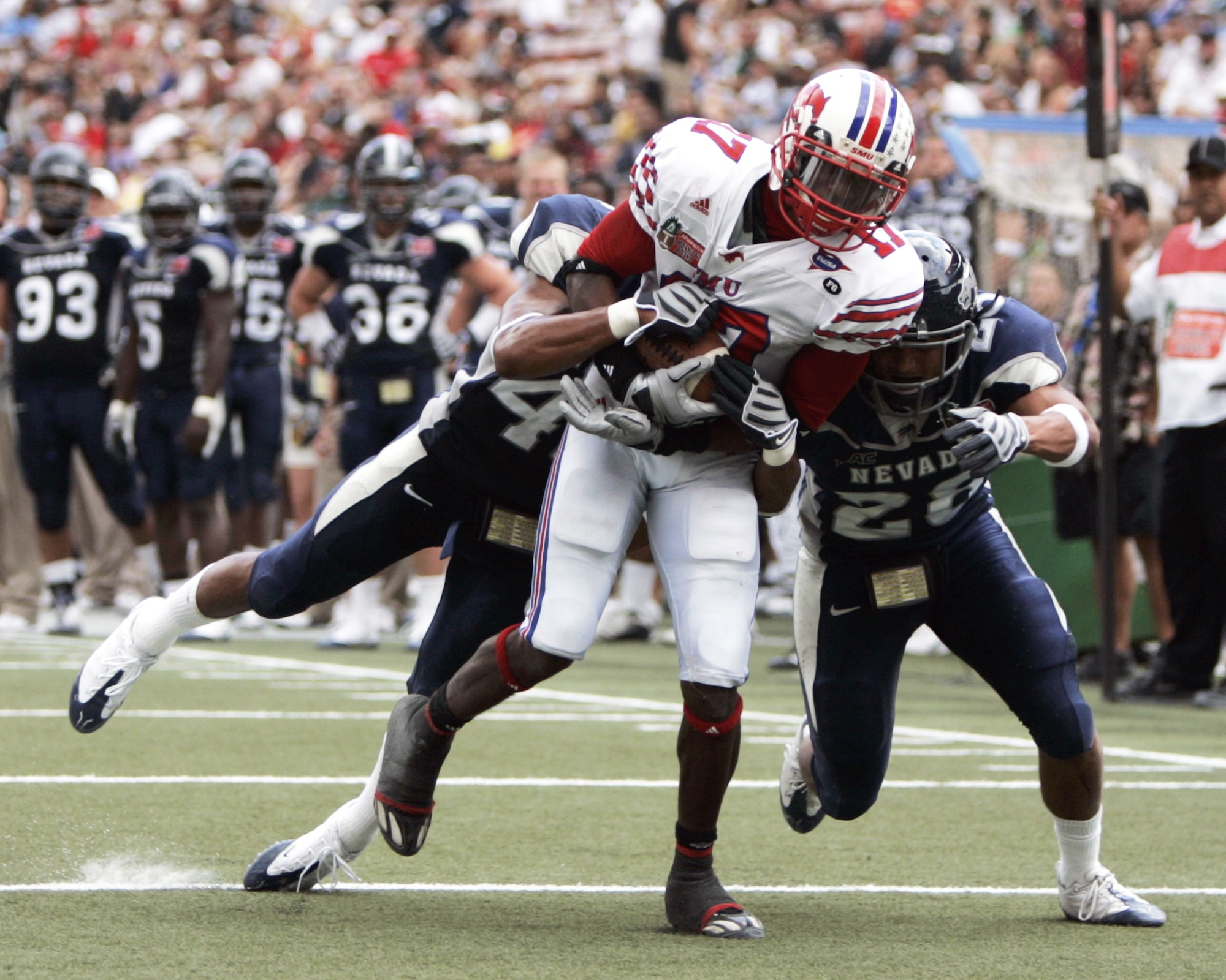Santoro: The Wolf Pack will be better than 1-12 … right? - Vimarsana News