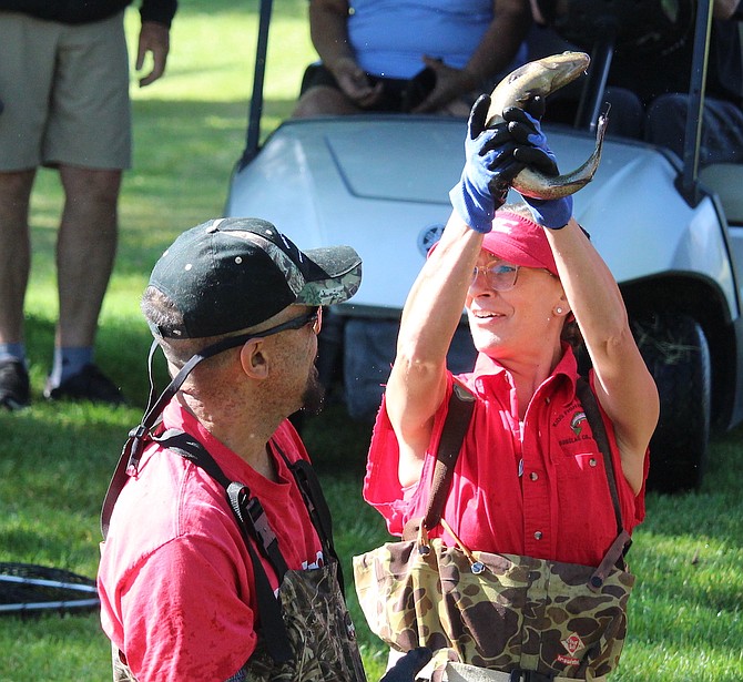 A volunteer holds up a big fish to show to onlookers at Willow Creek on Thursday.