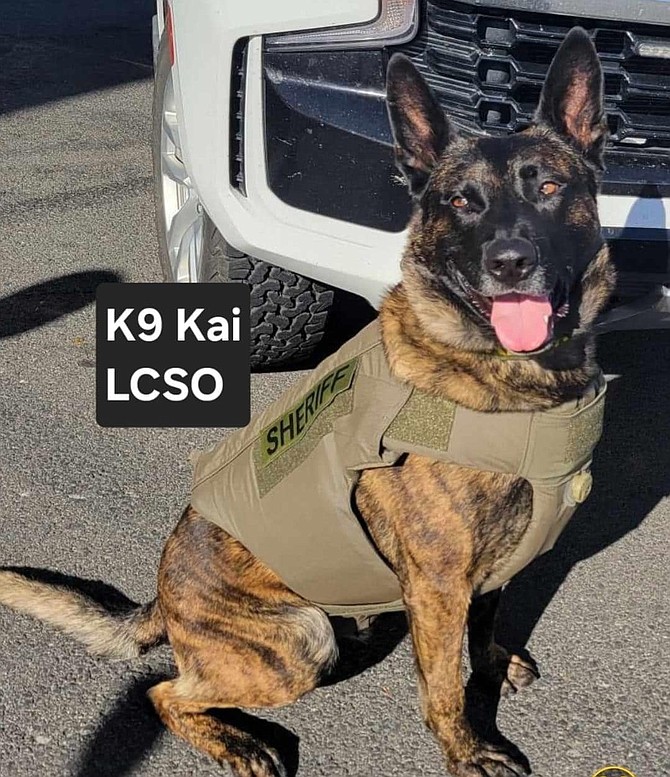 K-9 deputy Kai