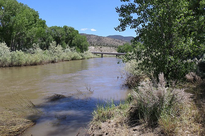 The Carson River near Buzzy’s Ranch in east Carson City in June 2023. The EPA and NDEP gave a presentation Thursday about the Carson River Mercury Superfund Site, a part of which stretches from Carson City to the Carson Sink in Churchill County.