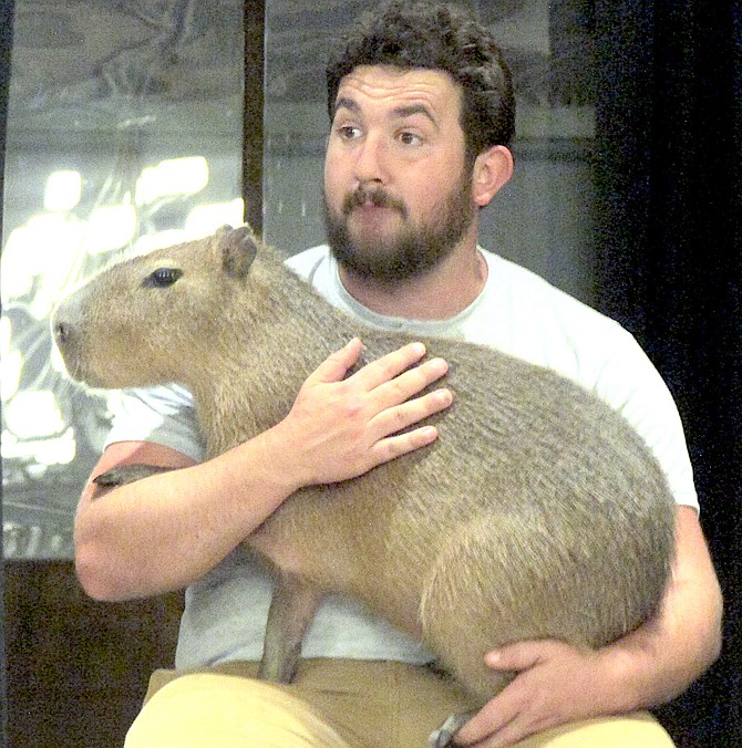 Conservation Ambassador Inc. educator and animal keeper Joseph Kerschner holds capybara Tator Tot as he tells her story at the annual program on June 26.
