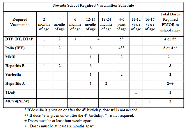 The chart shows the count for each of Nevada’s school-required vaccines. Look at your child’s vaccine record. Find the vaccine initials and count how many vaccines of that type your child has listed. Then, compare that number to the number in the column for your child’s age. If the numbers match, your child is up to date. If the numbers do not match, then your child needs vaccines.