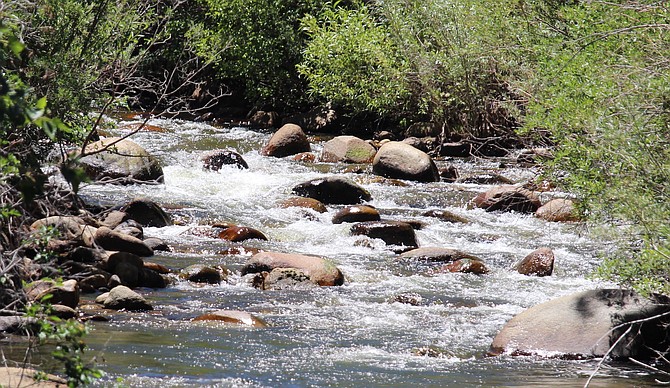 The West Fork of the Carson River as seen from the Diamond Valley Road bridge on June 28.