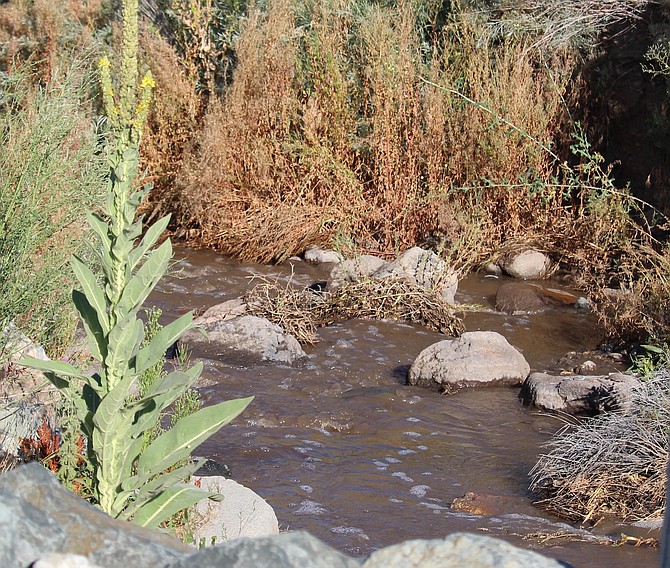 Pine Nut Creek was flowing a little bit at Mel on Thursday morning. Most of the rain that fell in the drainage was likely soaked up before it made it down the hill.