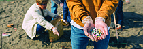 photo thumbnail