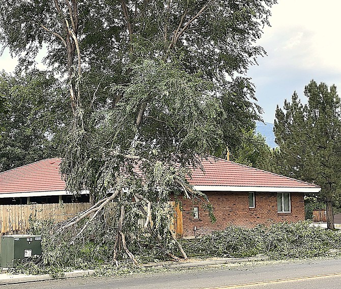 Marilyn Smith said Friday evening’s sudden wind storm brought down many tree limbs around the valley, including these at County Road and Tenth in Minden.