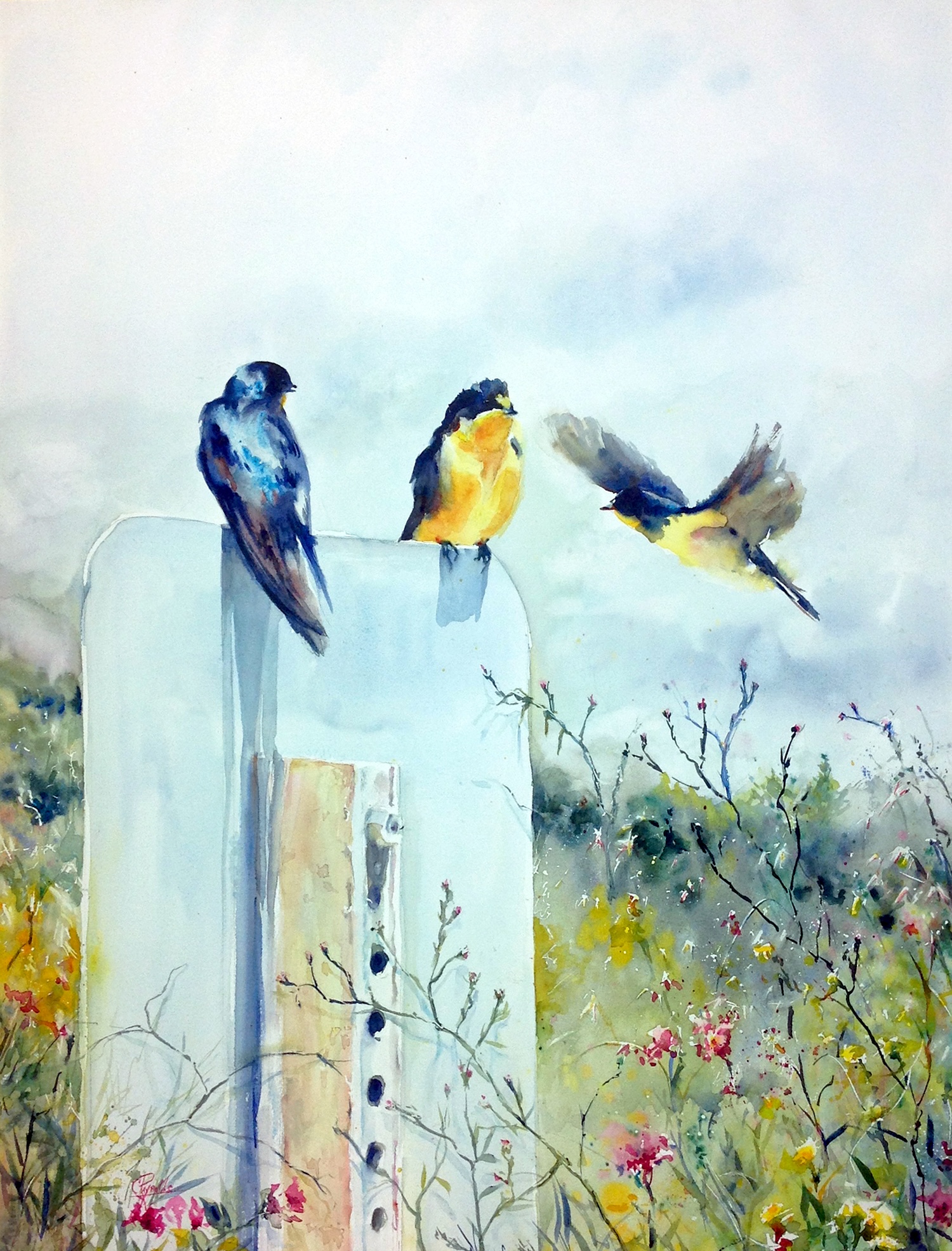 Sierra watercolor exhibition at the community center