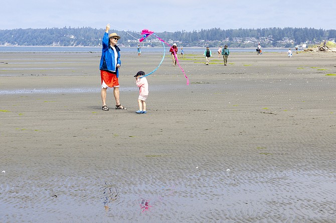 Visitors fly kites at Jetty Island off of Everett, on Wednesday, Aug. 7. Boat service to the Jetty runs until Labor Day.
The jetty is a two-mile, man-made island which nature has enveloped. Its shallow waters are warm enough to swim in. Check a tide chart for the best times for beach play. Advanced reservations are required  to ride the ferry. Reservations can be made at www.visiteverett.com/jetty  The ferry costs $3 to $5 per person; children aged 2 and under are free.  The boat to Jetty Island docks at the 10th Street Boat Launch, which is off of West Marine View Drive. Parking at the boat launch costs money. There’s the option to pre-pay for parking for $2 (plus taxes and fees). Visitor parking is available at Jetty Landing Park, first come, first served. Come prepared as there is no running water or snack shops on the island. There’s no real shade, either.