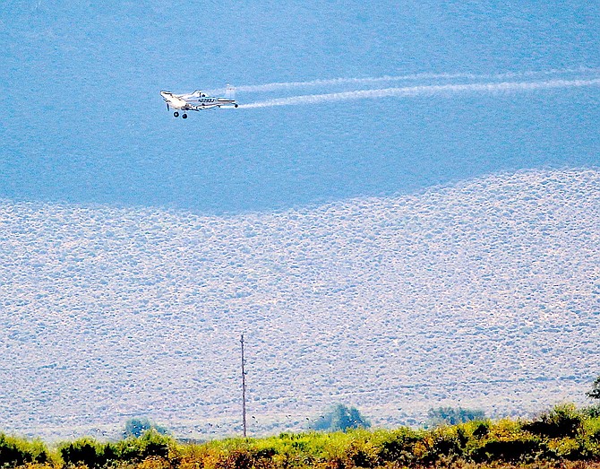 Mosquito adulticide is sprayed along the Carson River east of Sunridge on Saturday morning.