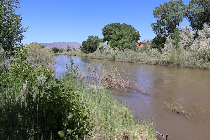 Carson River near Buzzy’s Ranch in east Carson City in June 2023.