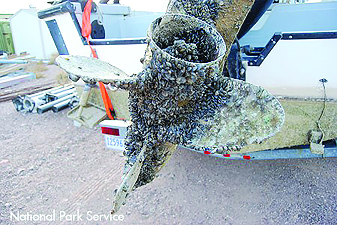 Quagga mussels coat a propeller. (Courtesy National Park Service)