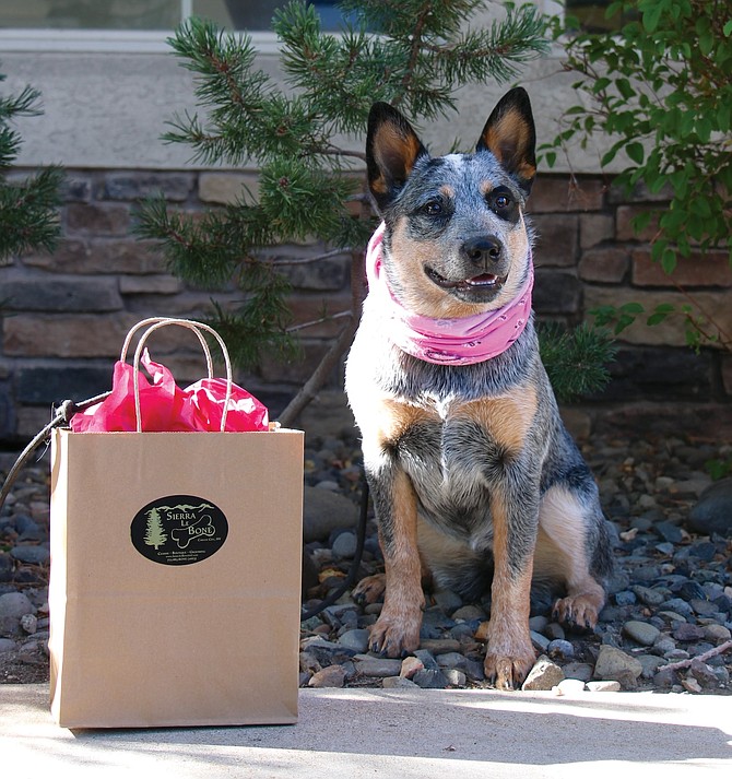 Teeter was the winner of the Carson’s Cutest Companion contest sponsored by Roper’s and SoL Cannabis.