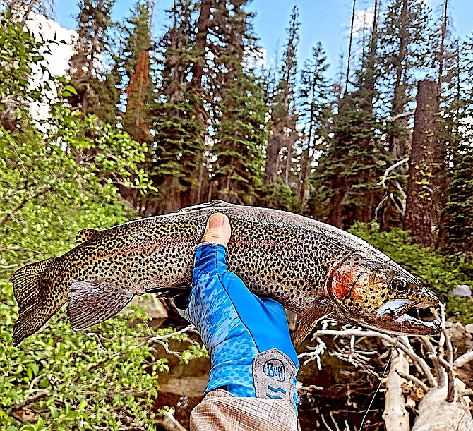 A Kirkwood resident holds his catch caught at Immigrant Bay on Caples Lake. Caples Lake Resort photo