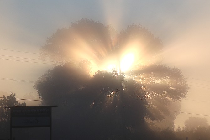 The sun shines through trees along Genoa Lane on Sunday morning.