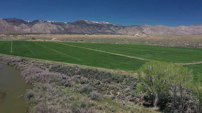 Five-hundred acre-feet of groundwater rights is Smith Valley have been acquired by the Walker Basin Conservancy.
Walker Basin Conservancy Photo