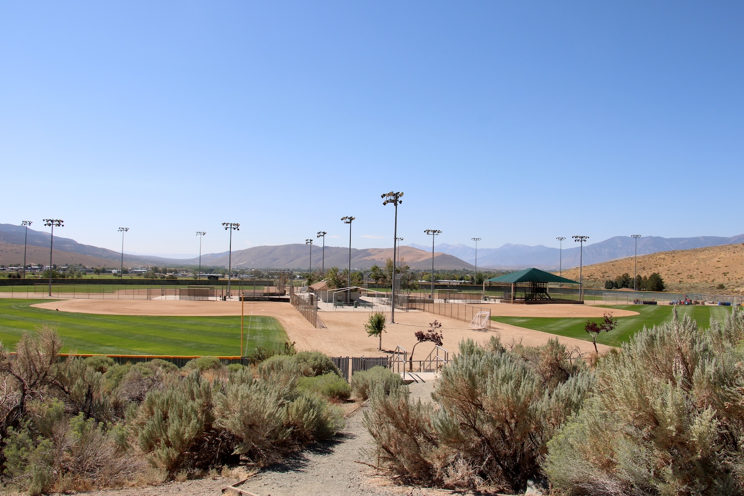 First step for Centennial Park artificial turf approved Serving