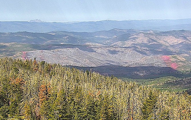 Streaks of pink fire retardant run across the area of ​​the Bear Fire visible from the Babbitt Peak Alert wildfire camera.