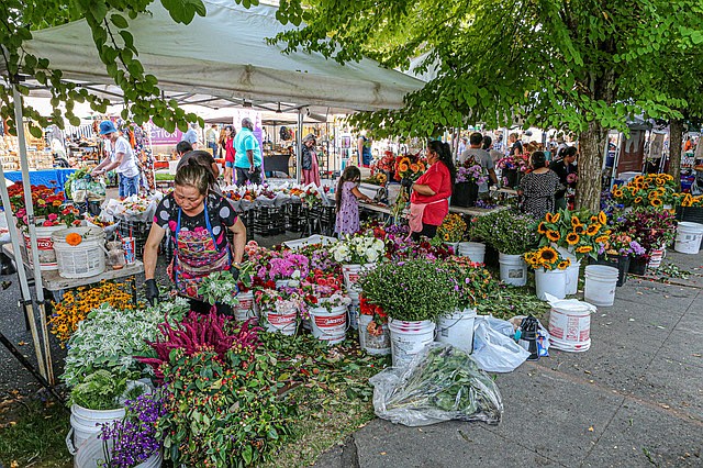 Flower farmers vend at the Snohomish Farmers Market Thursday, Sept. 5 as market season begins winding down. The Snohomish Thursday market runs until Sept. 26. The Everett Farmers Market runs Sundays until Oct. 27. Monroe’s market runs Wednesdays until Sept. 25.  The Lake Stevens market concluded at the end of August.