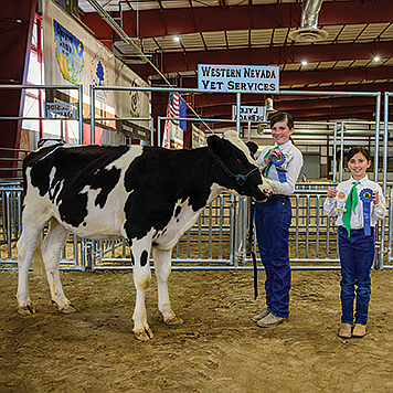 Exhibition winners proudly display their coveted badges, earned through perseverance, dedication and excellence in livestock care.