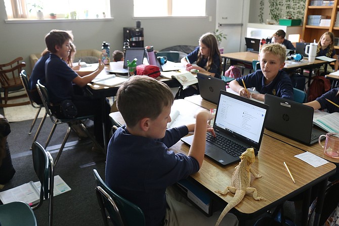 Legacy Christian Academy students Josiah, center, interacts with ‘Mango’ the Bearded Dragon Lizard on his desk and his classmate Joey, right.