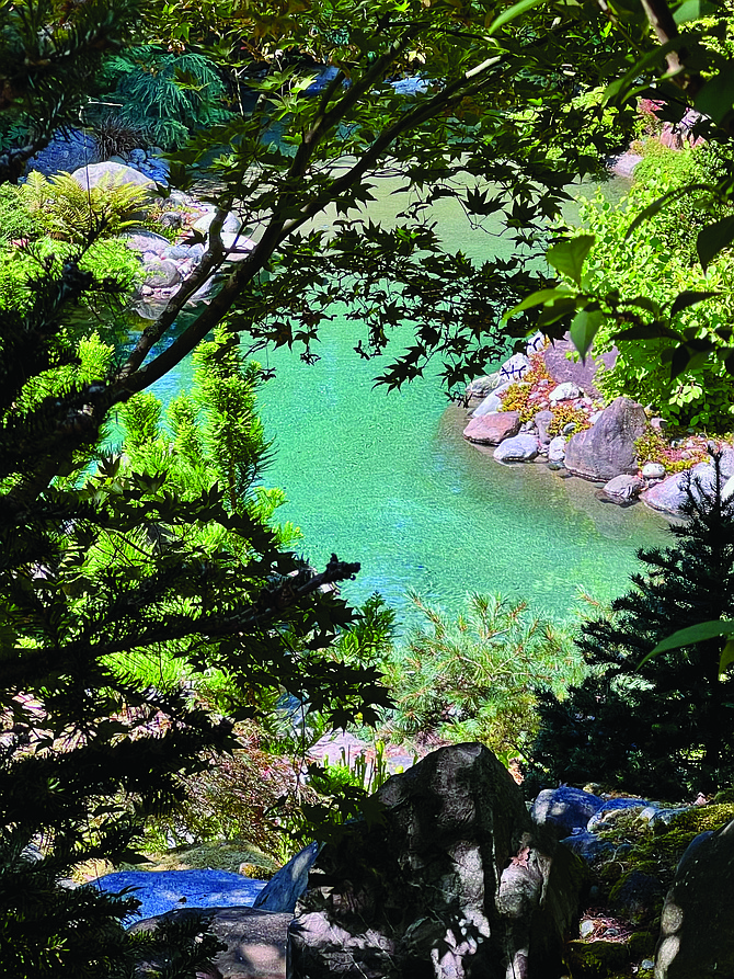 At the Carhart garden on Vashon Island, a dreamy view from pergola into pond.