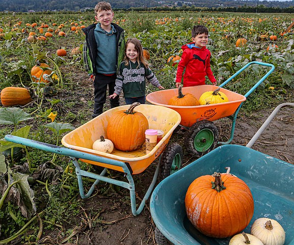 Oliver Hopkins, 7½, Cousin Brilynn Messer, 4 and Ryker Hopkins, 5½, all from Granite Falls show off their bounty from the pumpkin patch at Thomas Family Farm in Snohomish on the morning of Saturday, Oct. 5.