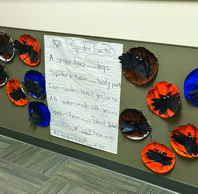 A display of spiders from students in Melissa Davis' class at Lahontan Elementary School.