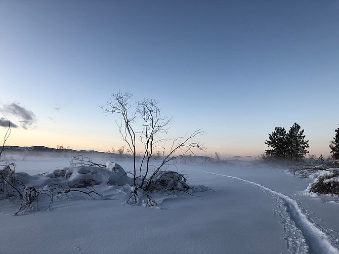 Fog over a marsh in winter. U.S. Forest Service photo by Emma Williams