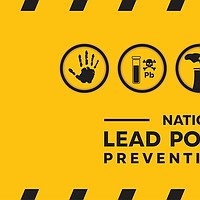 Get Healthy Carson City: National Lead Poisoning Prevention Week: Protecting families