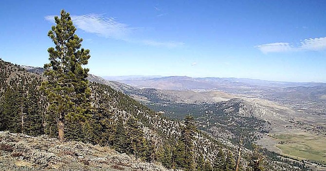 The view of Carson Valley from a 500-acre property in the process of being acquired by the U.S. Forest Service.
U.S. Forest Service photo