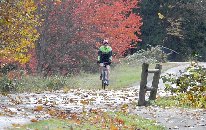 With falling leaves blowing in the breeze, a lone bicycle rider has the Centennial Trail all to himself as he pedals his way north past the trail’s Pilchuck Trailhead north of Snohomish on Friday, Nov. 8. While the recent winds have blown much of the fall foliage from the trees, a bit of color can still be found in Snohomish County.