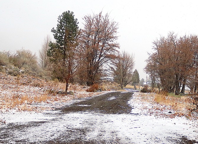 A snowy lane in Genoa on Friday morning.