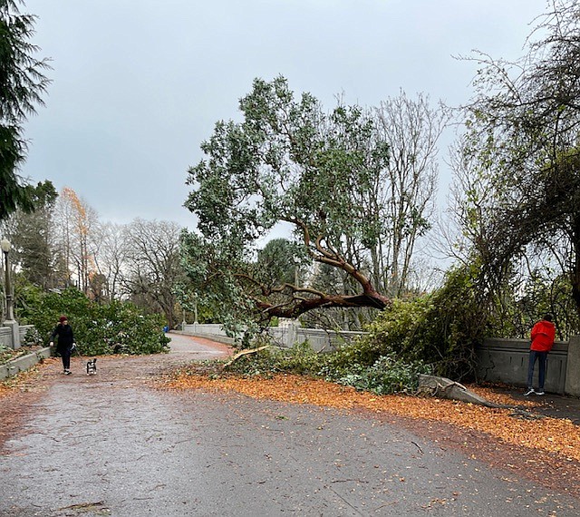 The McGraw Street Bridge after the bomb cyclone.