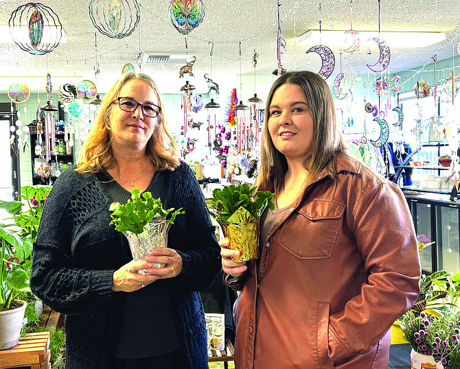 Jennifer Moore, left, and Cassidy Moore of Stargazer Blossoms show off the Christmas cactus that will be free for any customer who makes a $100 purchase on Nov. 30 during Small Business Saturday. The full-service florist and custom gifts store at 957 W. Williams Ave., will also feature a 20% discount on the entire store, including floral bouquets, for the day.