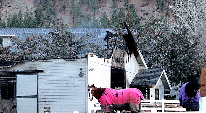 Two horses that survived Monday’s early morning barn fire in Genoa.