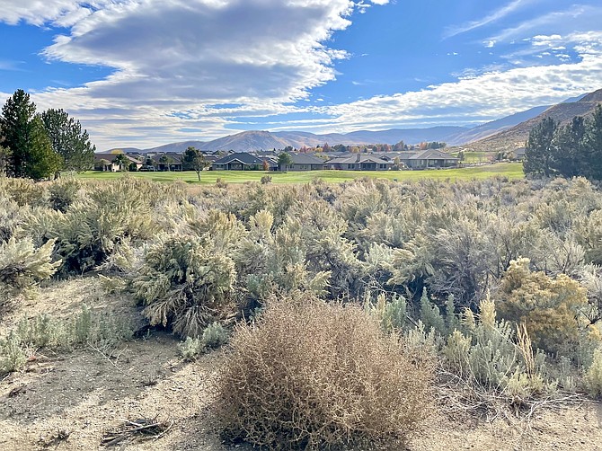 The vacant lot at 1625 Vista Lane proposed for a new substance abuse treatment center. A golf course and houses appear in the background on Oct. 30.