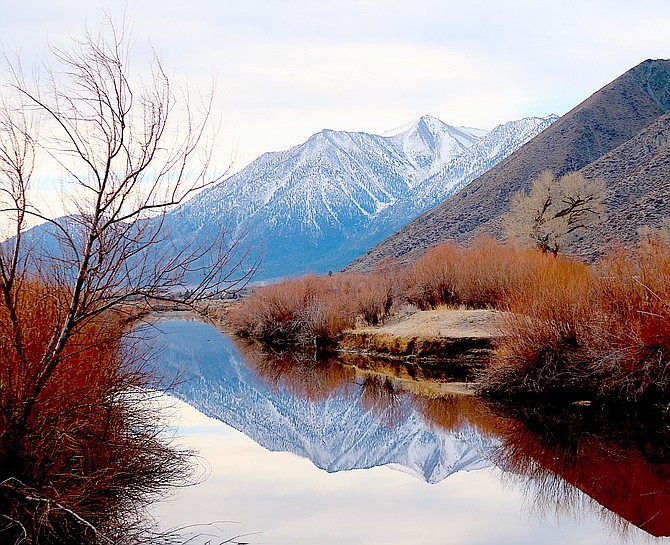 Jobs Peak is reflected in Brockliss Slough below Genoa on New Year's Eve morning.