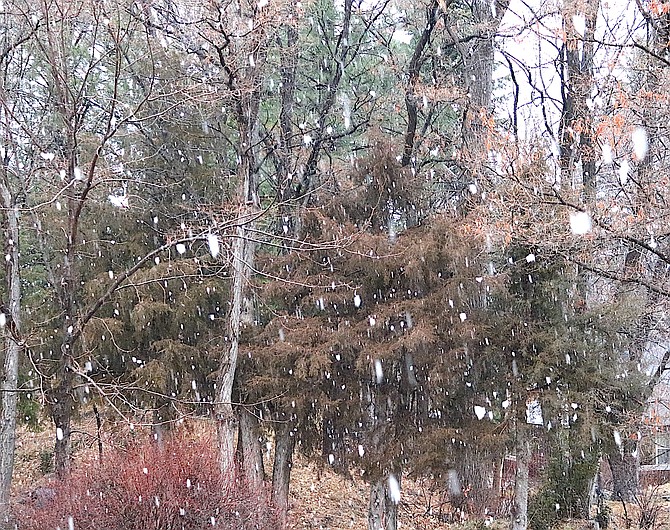 Fat snow flakes fall north of Genoa around 2:30 p.m. Friday afternoon.