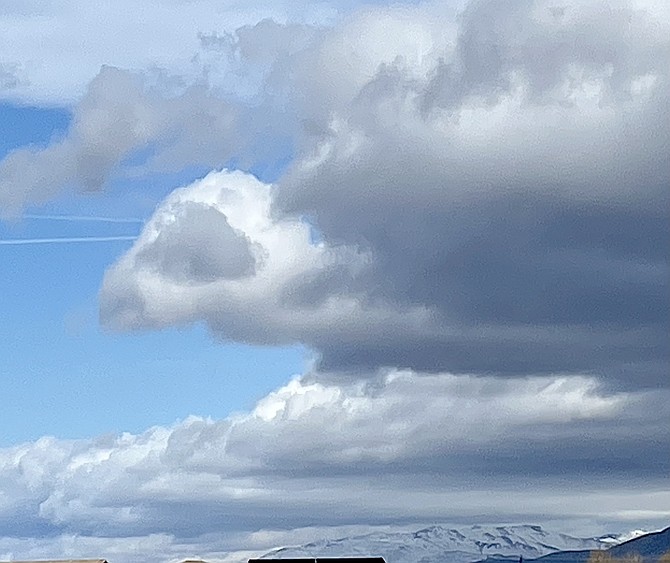Amy Roby and her friend looked skyward and were greeted by what appeared to be the profile of a lamb set against a backdrop of blue.
Amy Roby photo