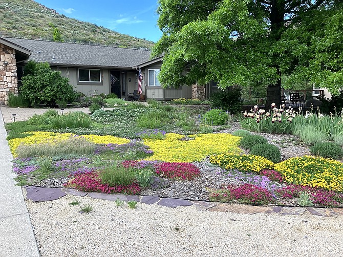 A xeriscape yard.
