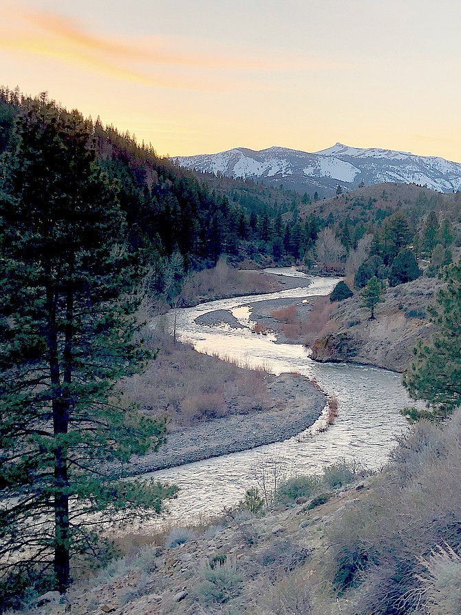 The trout filled waters of the East Fork at the Carson River Resort.
Photo by Phil Elfstrom